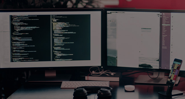 Custom Web Development